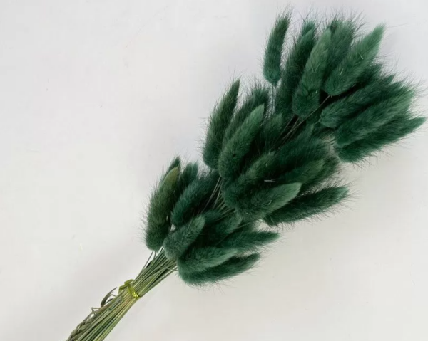 product image ef4be72c8a06a8882ffeba67f447123b