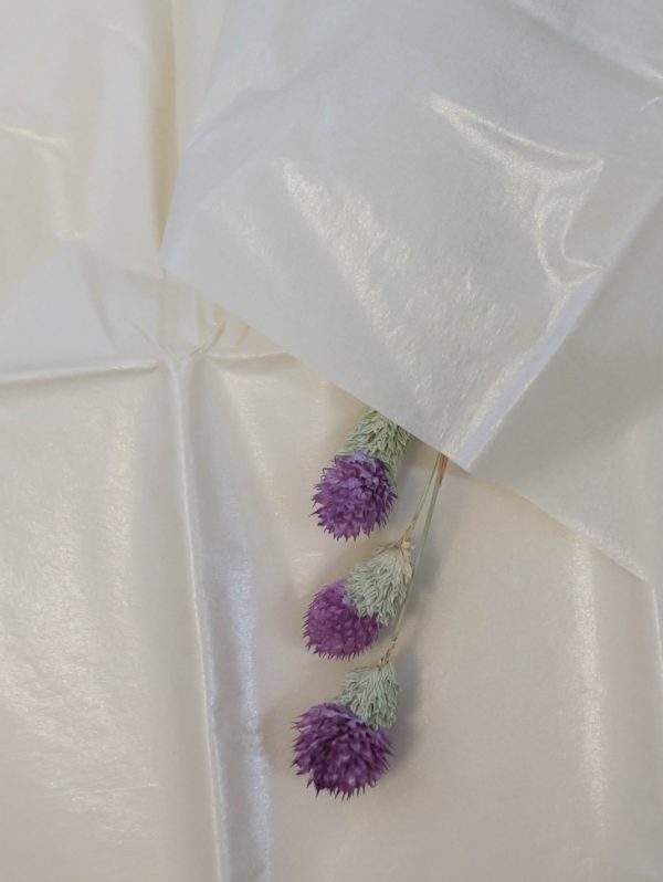 product image 5210fe2ccd9505fc059be15285aca5e6