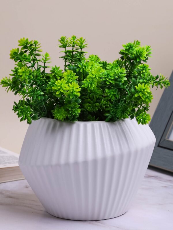 product image 8ae0a1bfd423690aa371c99c144b6a51