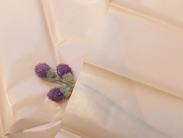 product image 902e672fb4c9b2c09e11e5459f37b707