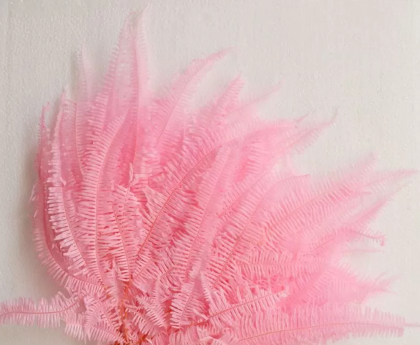 product image a46d73ecc05921988d555fbfa5cbbc21