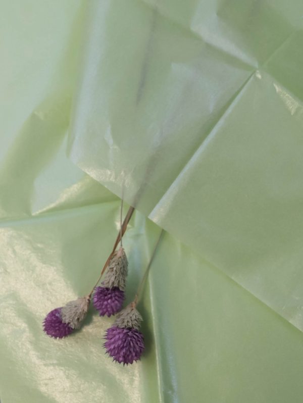 product image caa12d1f36c8fd0419b37c151bb1a19d