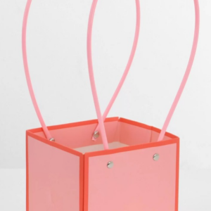 Пакет подарочный "Мастхэв с цветной окантовкой", 12,5х11,5х12,5 см, 10 шт./упак., спелый персик
