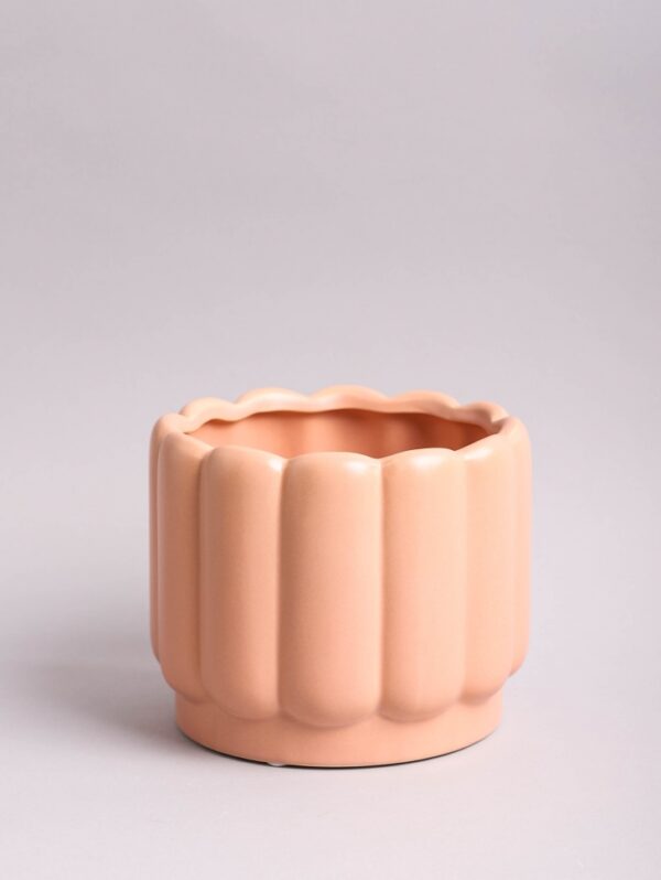 product image 2327b26268af4053be419e86feb6124e