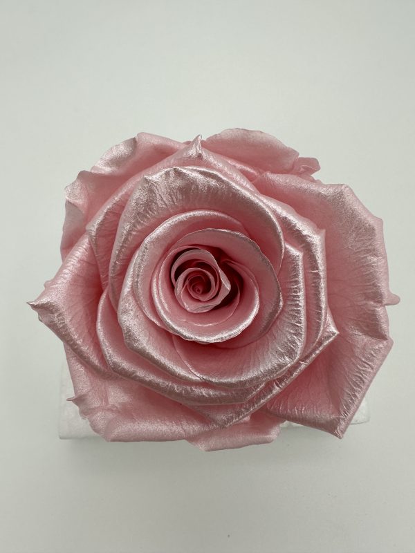 product image 34248f16aa55b79ff15121f15ff18b83 scaled