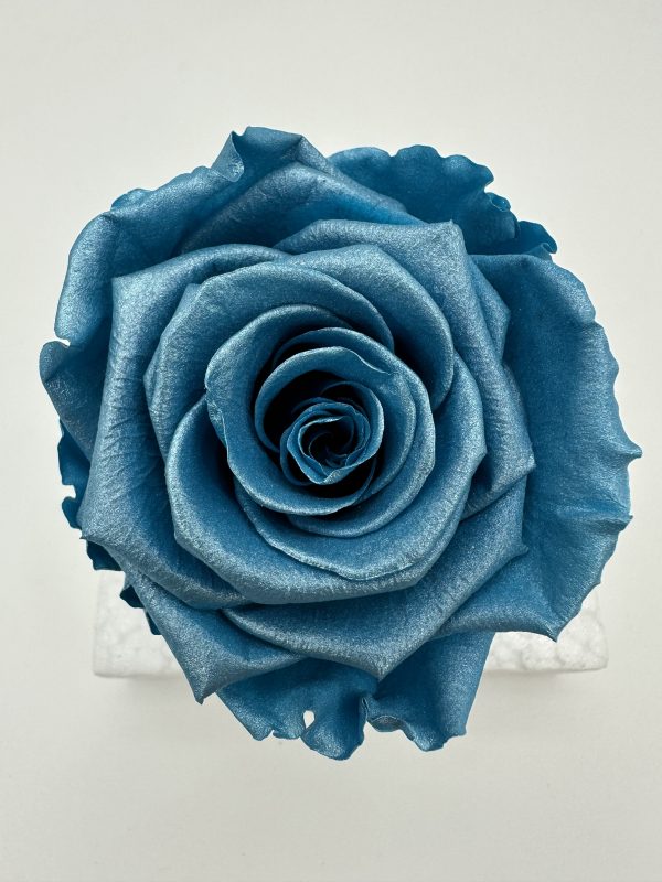 product image e6caebb7342b309ad1d2963a3d8089c2 scaled