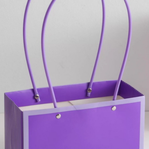 Пакет подарочный "Мастхэв стайл" прямоугольный, 22х10х13 см, 10 шт./упак., фиолетовый/сиреневый