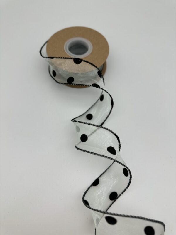 product image cd9ddbb4019b168ecc101f803d846581 scaled