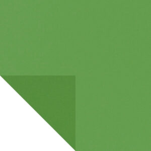 Фоамиран (уп. 10 шт) толщ. 1 мм 49х49 см EVA-014 (10) светло-зеленый