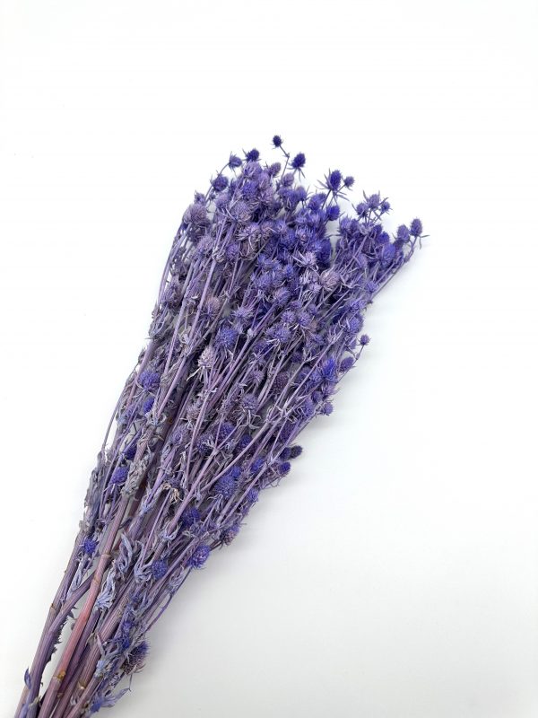 product image 3fb537bf82770b011e31213750b8a545 scaled