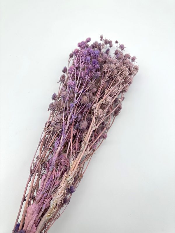 product image 52e7b880b40112b11d5b84cce556c53c scaled