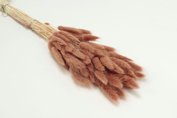 product image 558a073cbdcff133e5e45453b400bf36