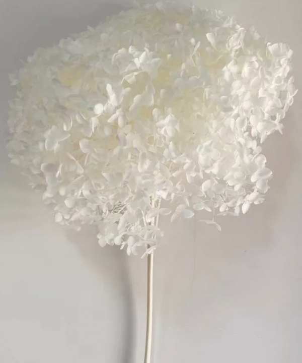 product image 6139b6f583ff415c839f9c78c77bdc77