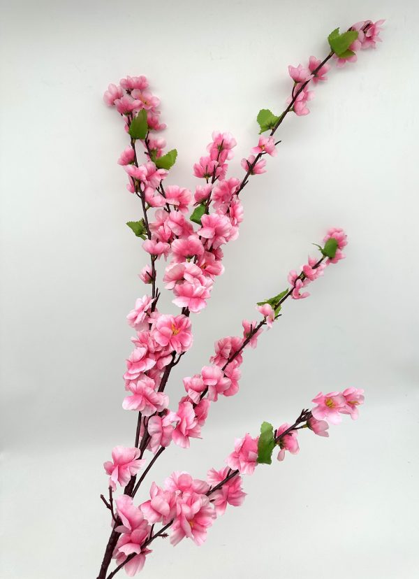 product image acaeb59d8c5ce505186e722333708d7d scaled