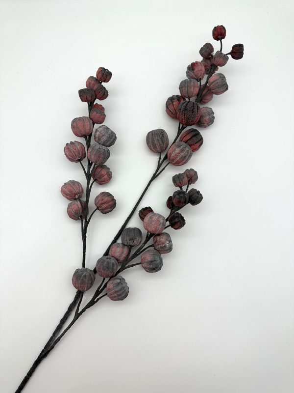 product image d0b5c0b23b4034a788305a9c461a1618 scaled
