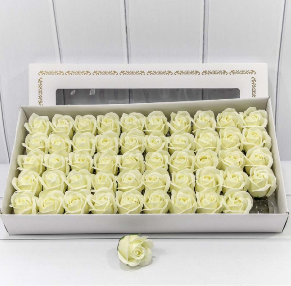 product image 23969bdf5f9ac3bda848c5d9fe6aea5e