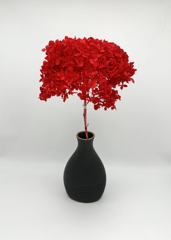 product image 2acde0a71e0fa3b9128c85f2cb414dcb scaled