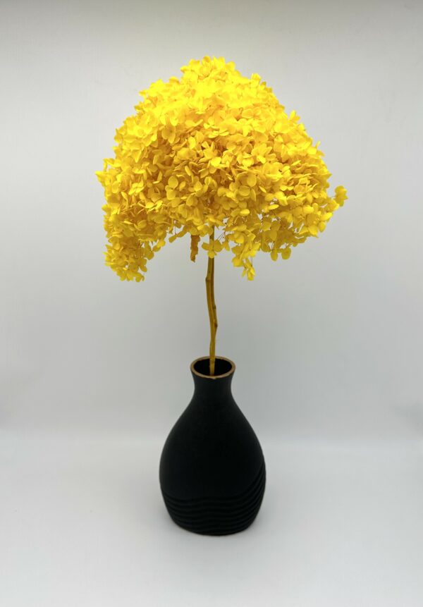 product image 35fcac2d62698293a39729bdf35b2afc scaled