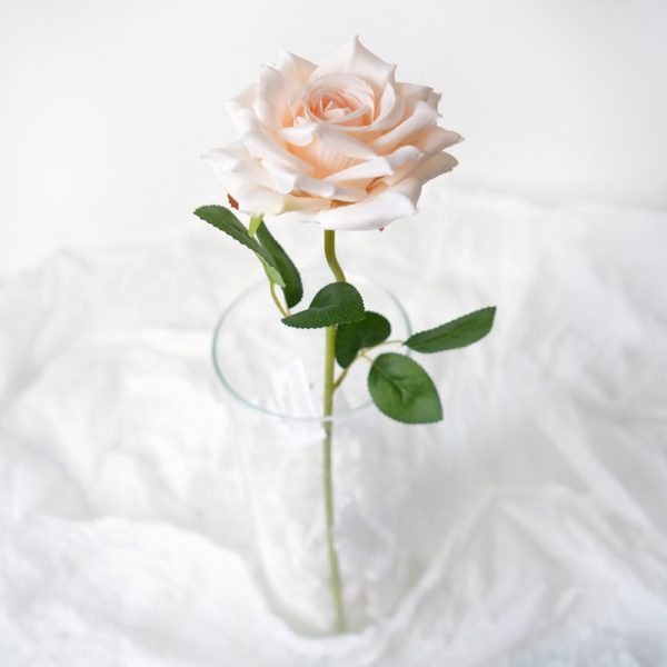 product image 3fa6e22e1106829ed2d1b1ef03aeaf37