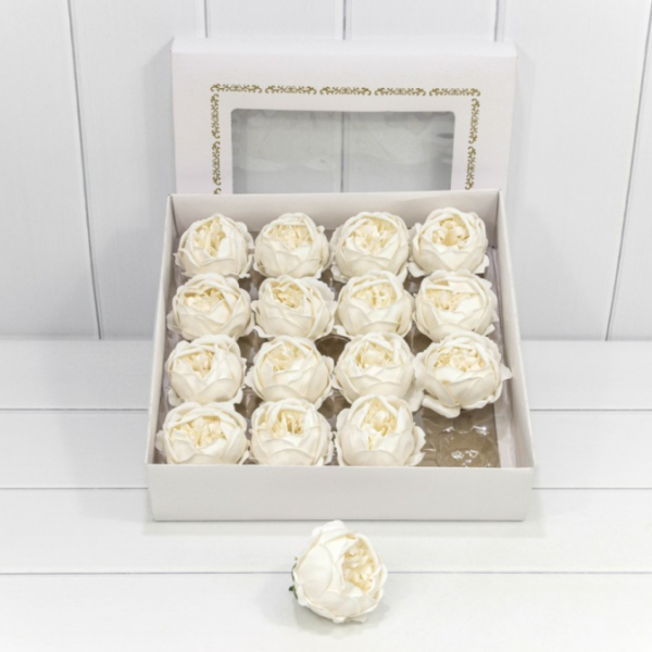product image 49d7ae558f178f2ebcc6d21801a98782