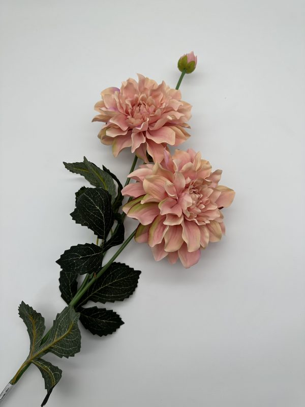 product image 4dec3b44359b70bcb4ea6a4f46538448 scaled