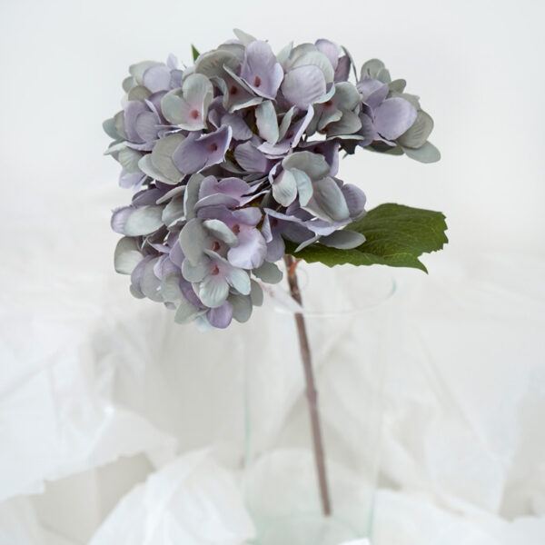 product image 4f54879b06c475e8750d7f4f006b5b7d