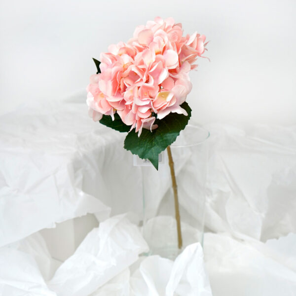 product image 5df741a106235cc76274e9caae8c81e0