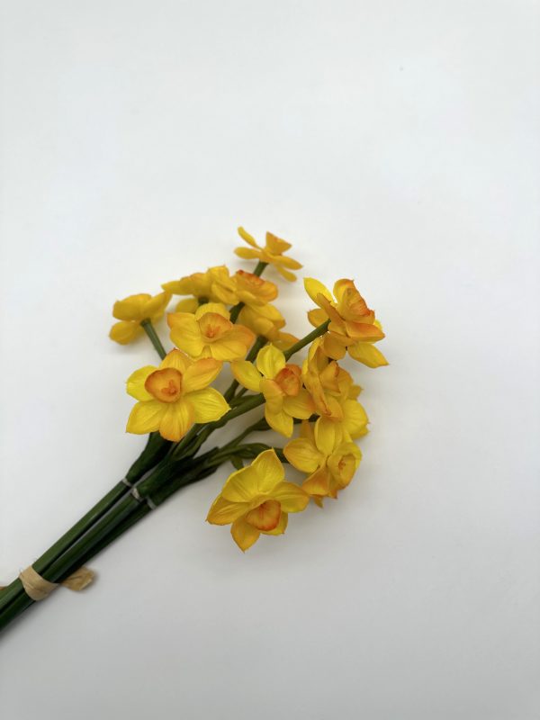 product image 625da0d0354c3af4438339fede32e35d scaled