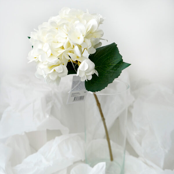 product image 6892cc771d130bd70d62d69038151564