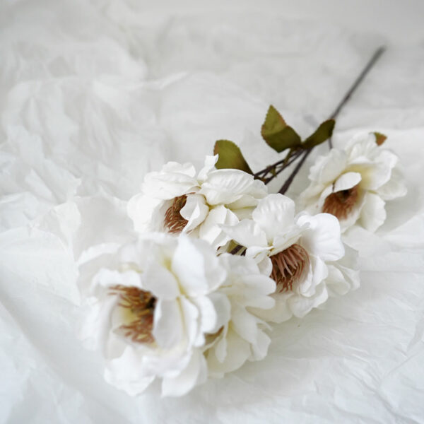 product image 8664f7bdd5e1b6079244f9aaf3aca90b