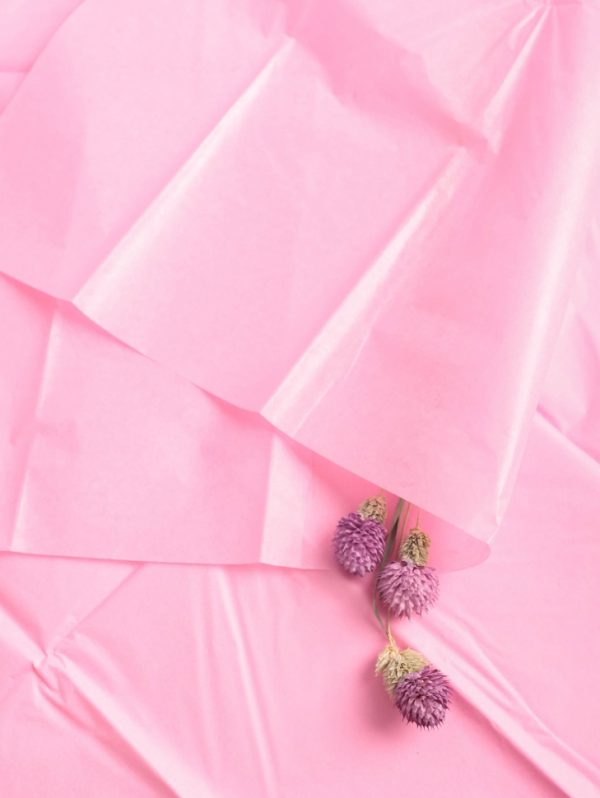 product image 99a99fde8e9de26a8d5256b23e6fdd8a