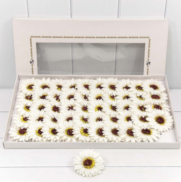 product image b16ff92e6e7ecd7c20b931157cce7d55