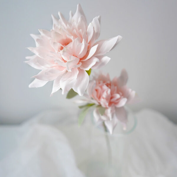 product image cc6e35921903f7eb4cd1b5949d016b23