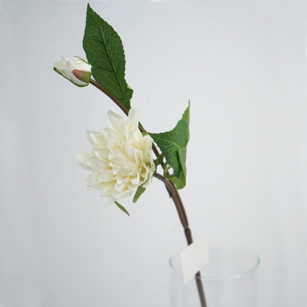 product image d2e3b4124f8c028313a593bfde0816c9
