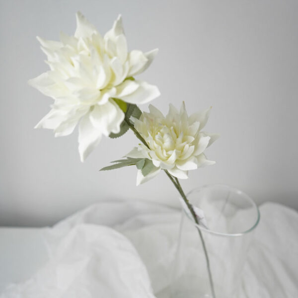 product image d4f4a9c9ee4a777681d7790c82b34ec5