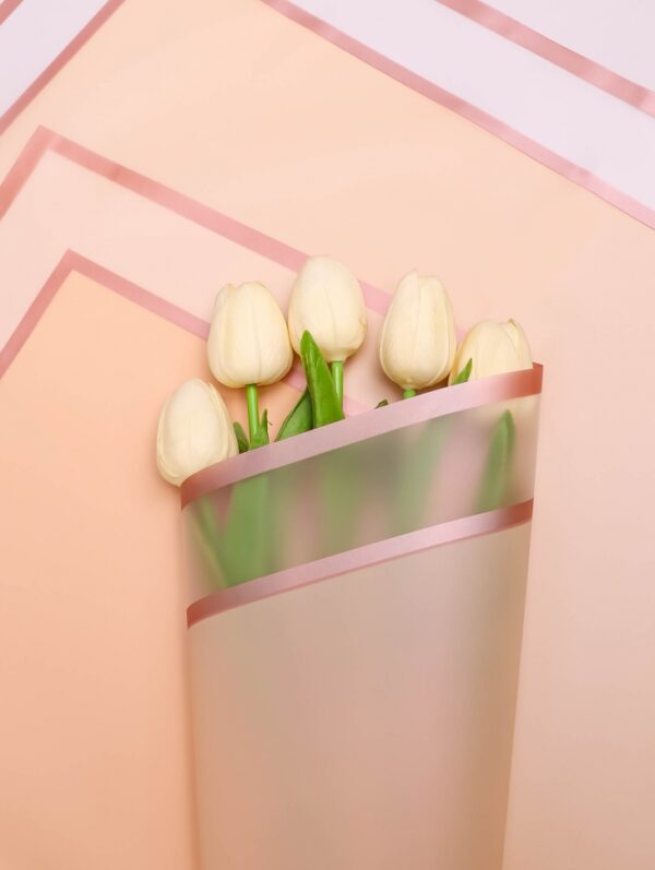 product image d683068f5e413bc226d77289b3382586