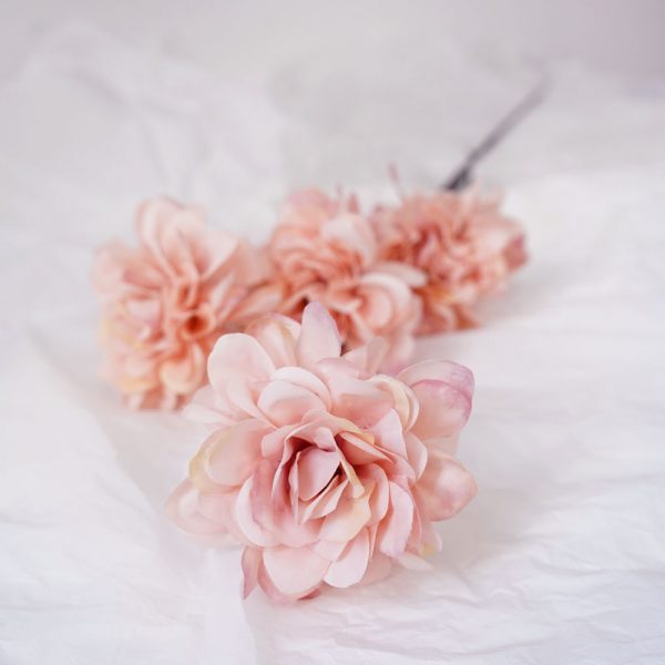 product image f03f26a5231d3d160ab89398eb0c09a8