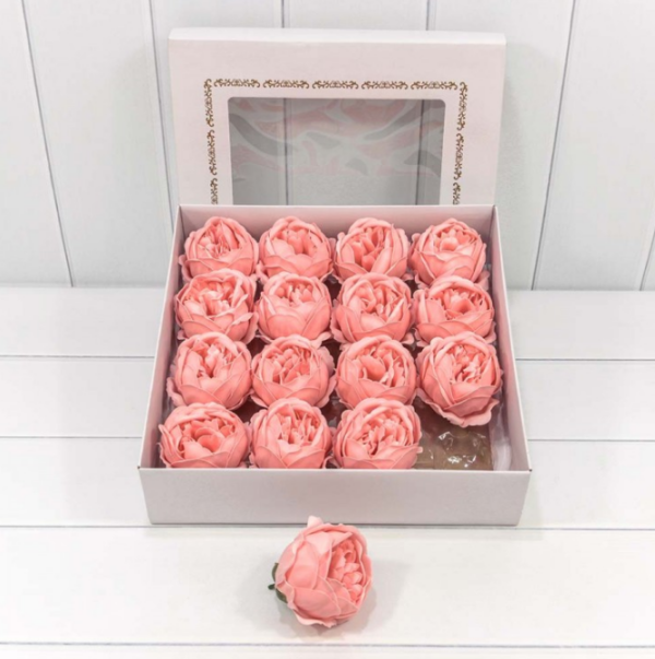 product image f92ecd2f08b63f179b607d5ff23913a7
