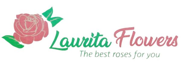 laurita flowers scaled