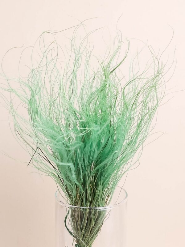 product image 914502bbbe9c429af58a3e73d1faea2d