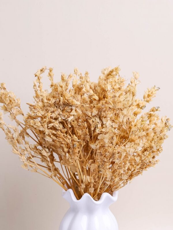 product image d62957345cceb58351fc743081c3cac0