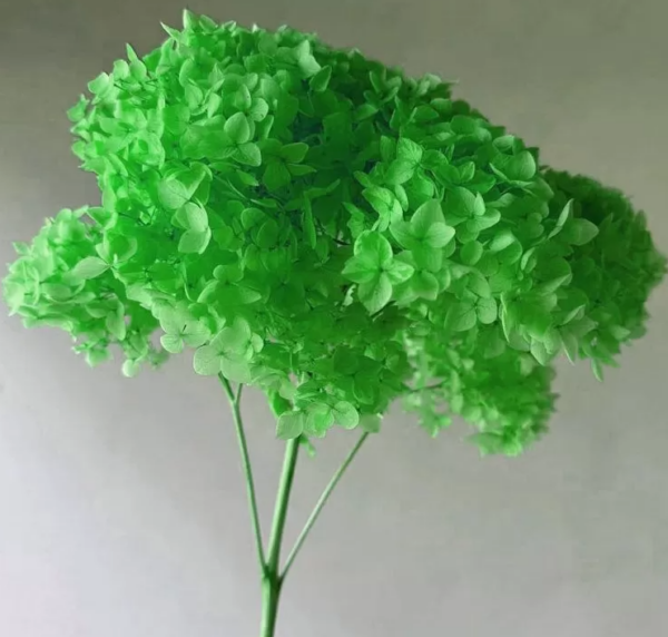 product image 520ee01e2286b12bbd2c4555a9bf1440
