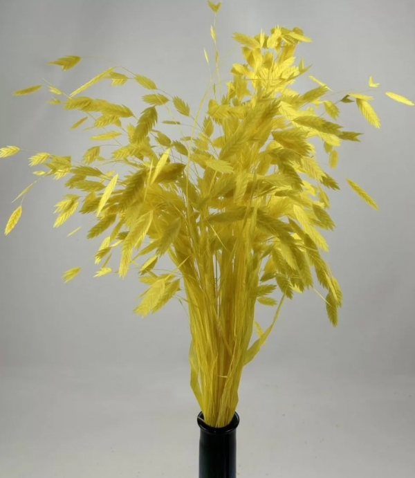 product image 6649d1d7d64be22844b70cec50226833