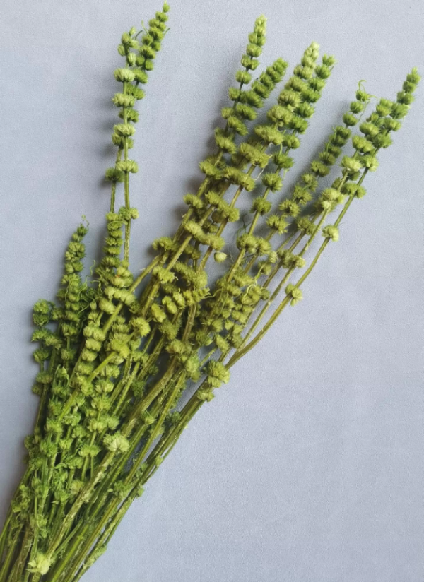 product image 915290f770cb8e380f97a760550456a3