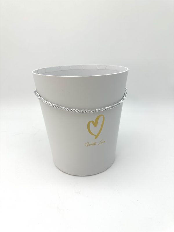 product image 4f4c10183fe5c6c4ac61027e3e8e75ef scaled