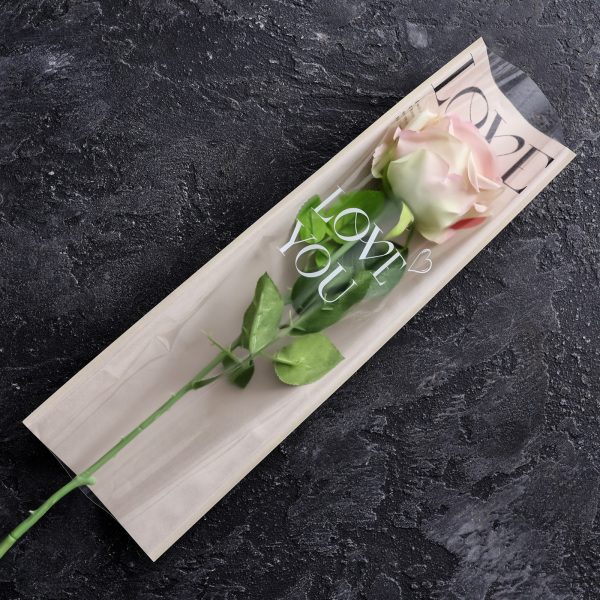 product image 6dc8591b37c4881b7b80aa3fadafb806