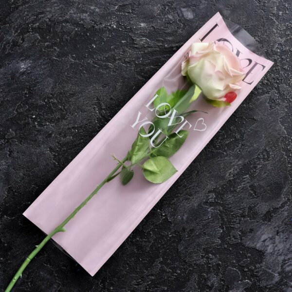 product image 989ffe8f7915ba1dd15855133ff46510