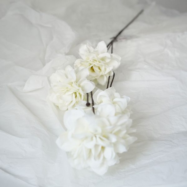 product image 998ec833d19f1873de10369288cfbdc2