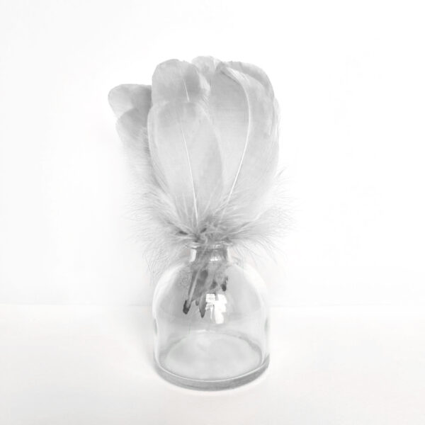 product image 15515de4c687b3922fee2a2737230db0