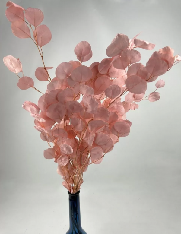 product image 596f1b77a0a3290b915ad4b2cb90fe00